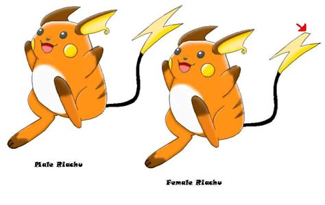 female raichu vs male.